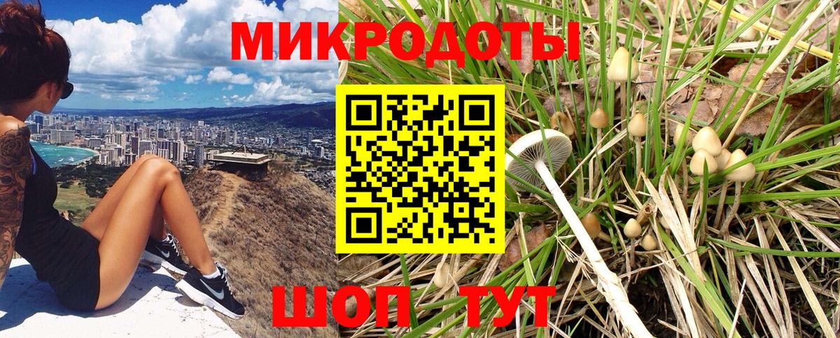 Галлюциногенные грибы Psilocybine cubensis  Вход с VPN  Карпинск 